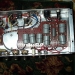 dualoutguts2