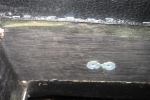 ODS_124113.jpg