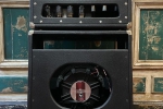 Dumble Overdrive SN015x_3.jpg