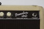 1961 Fender Tremolux_4.jpg