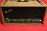 1976 Fender 300 PS_0.jpg