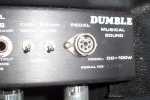 Dumble Overdrive Special 208_4.JPG